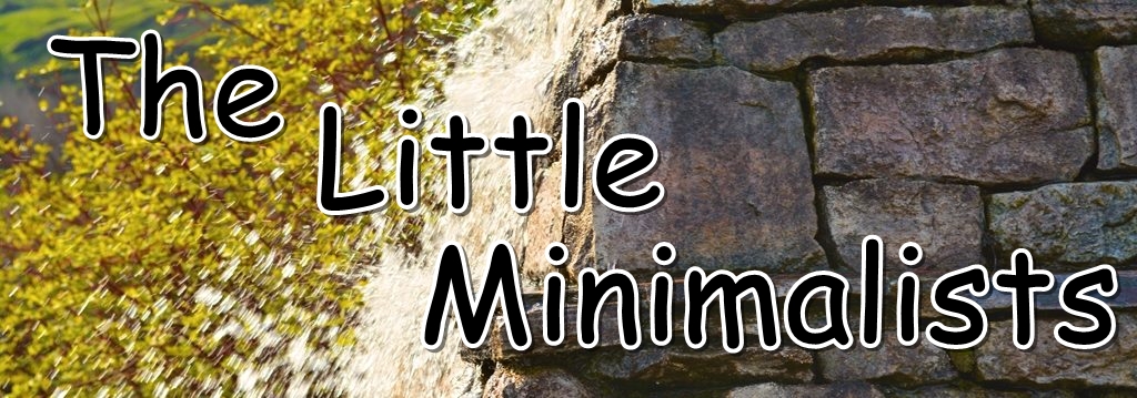 Lifetime Families